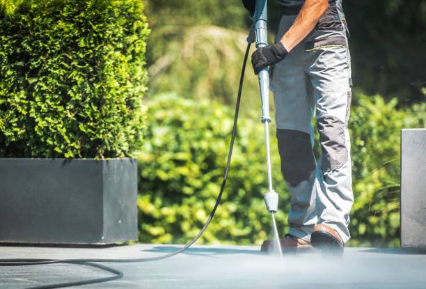 Animal Enclosure Cleaning in Washington, GA